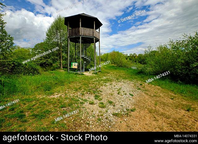 observation tower in the bird sanctuary and nature reserve gray heron colony near dippach am main, hassberge district, lower franconia, franconia, bavaria