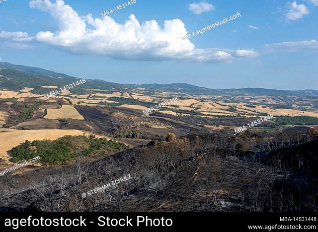 wildfire in Tuscany, fire, steppe fire, Cinigiano, Tuscany, Italy