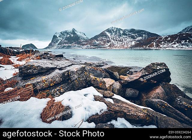 Rocky coast of fjord of Norwegian sea in winter with snow. Haukland beach, Lofoten islands, Norway