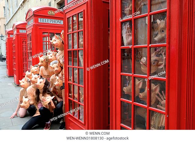 Marchioness of Worcester Tracy Worcester joins campaigners by squeezing into telephone boxes in a new stunt designed to replicate the conditions factory farm...