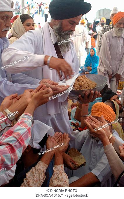 Priest distributing prasad in Golden temple ; Amritsar ; Punjab ; India