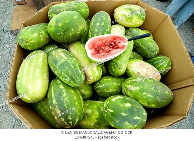Amish watermelon for sale at a farmers market Holms county Ohio
