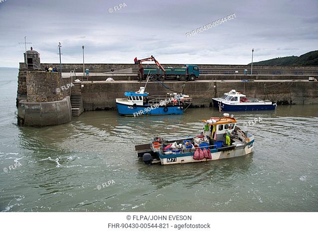 Fishing boat entering harbour, with whelks unloaded from fishing boat onto lorry, Saundersfoot, Pembrokeshire, Wales, August