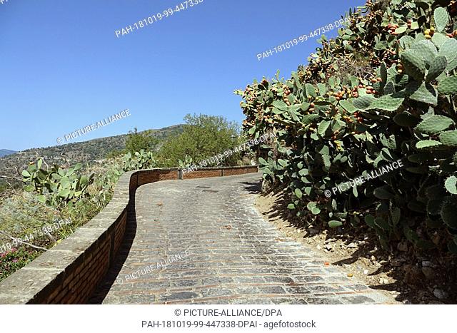05 September 2018, Italy, Savoca: 05 September 2018, Italy, Savoca: A road leads past opuntia (cacti) in the Sicilian town of Savoca