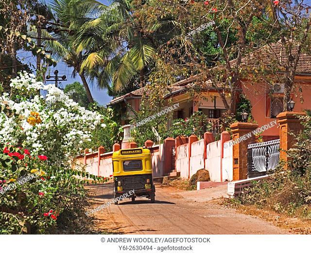 Auto rickshaw tuk tuk taxi on lane lined with palms and tropical flowers rural Goa India