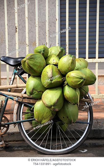 Coconuts on a bike rack