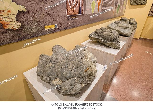 icnitas de iguanodon, Centro de Interpretación Paleontológica de La Rioja, Igea, La Rioja , Spain, Europe