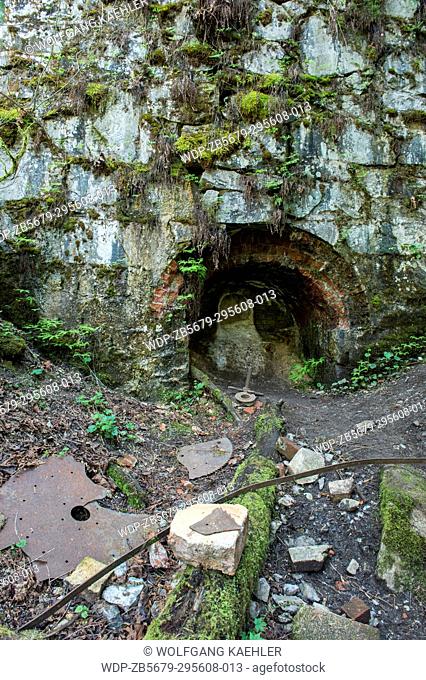 The historic kiln with ferns and mosses growing out of the cracks on the Lime Kiln Trail near Granite Falls, Washington State, USA