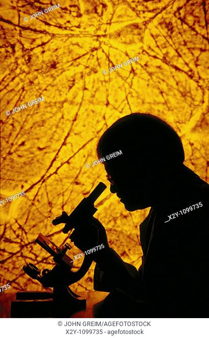 RESEARCHER LOOKING INTO A MICROSCOPE WITH NEUROLOGY SLIDE PROJECTED IN BACKGROUND