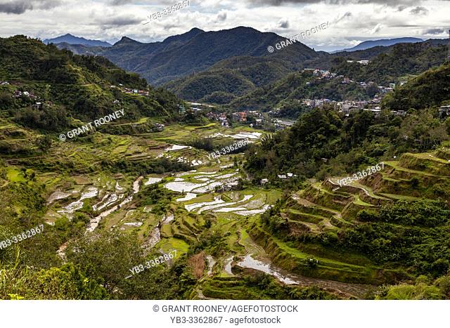 The Banaue Rice Terraces Viewed From The Banaue Viewpoint, Banaue, Luzon, The Philippines