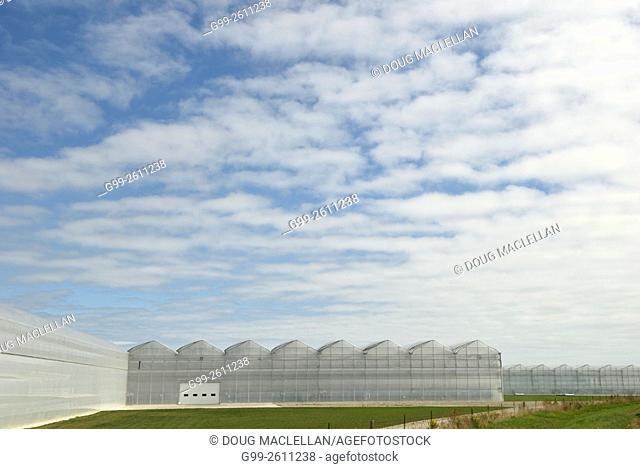 Greenhouses along a highway on the outskirts of Leamington, Ontario, Canada