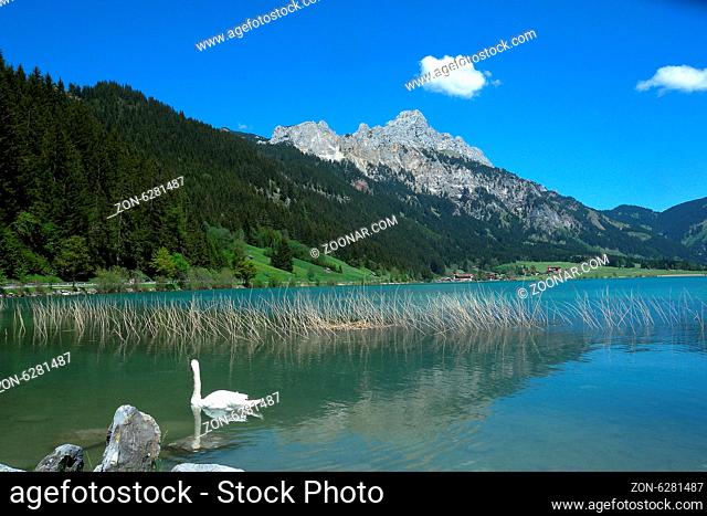 Haldensee im Tannheimer Tal, Tirol, Oesterreich; Tannheimer Berge;