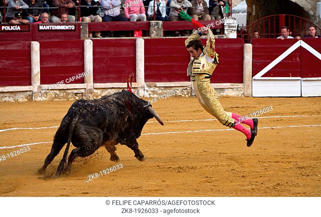The spanish bullfighter David Fandila El Fandi putting flags during a bullfight, Ubeda, Jaen province, Spain