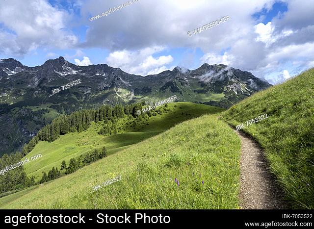 Lonely hiking trail, mountains behind, Heilbronner Weg, Allgäu Alps, Oberstdorf, Bavaria, Germany, Europe