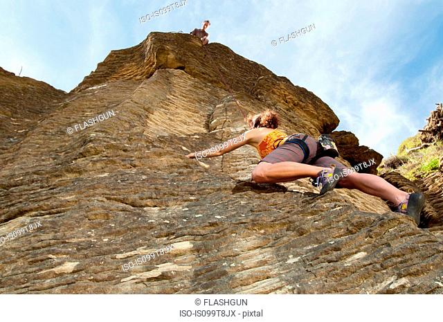 Rock climbers scaling rock, Ruapuke, Raglan, New Zealand