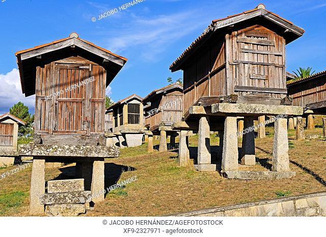 Hórreos(traditional granary).A Merca.Ourense province.Galicia.Spain