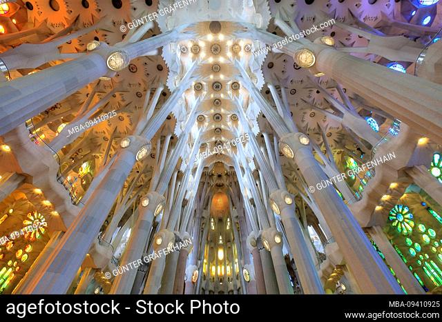 Church ceiling in the interior of the Sagrada Familia cathedral by Antoni Gaudi in Barcelona, Catalonia, Spain
