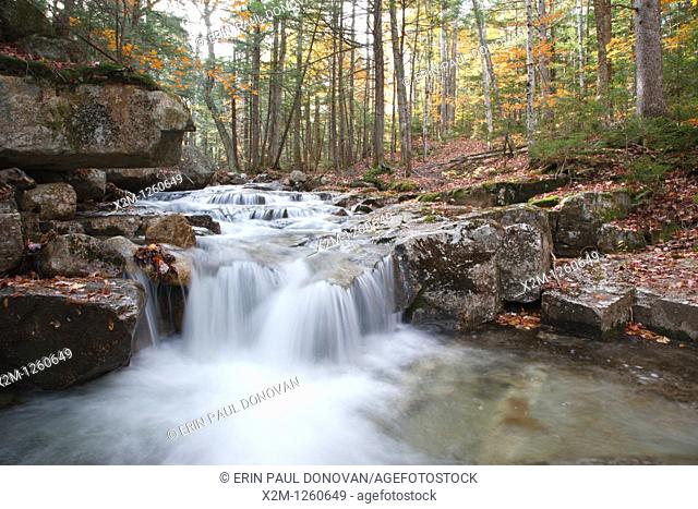 Twin Brook along the Bolles Trail in Albany, New Hampshire USA