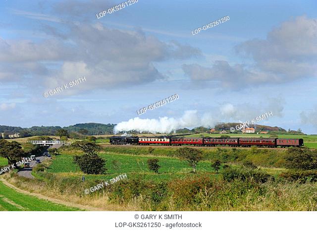 England, Norfolk, Weybourne. 'Black Prince', a steam locomotive travelling past Weybourne windmill on the North Norfolk Railway NNR