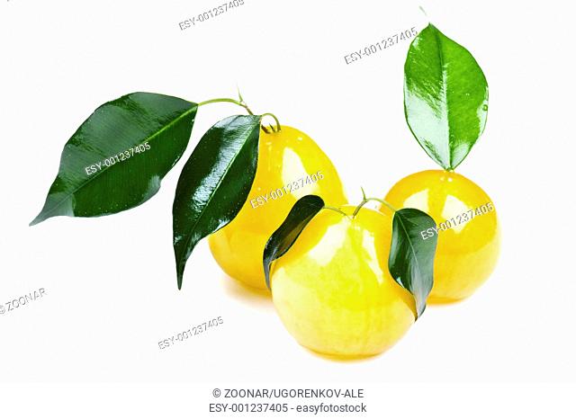 Yellow plum macro on white background