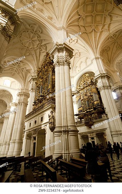 Interior, organ and groin vault, Cathedral of Granada, first church in Renaissance style of Spain, province of Granada, Andalucia, Spain, Europe