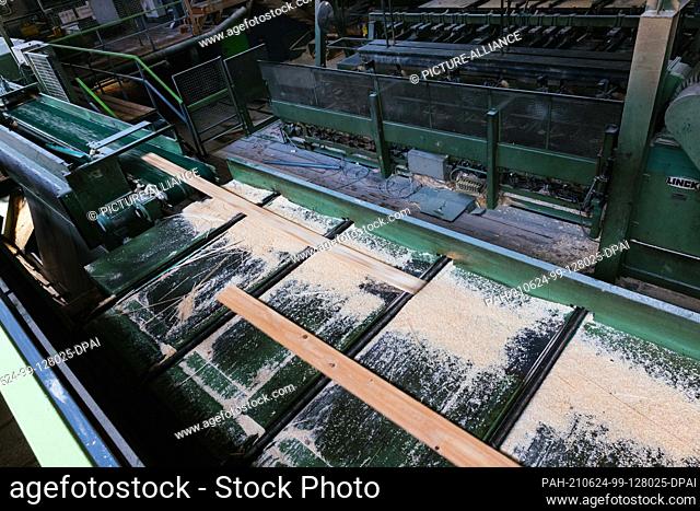 PRODUCTION - 07 June 2021, Baden-Wuerttemberg, Hausach: Boards pass through the cutting line on the premises of a sawmill