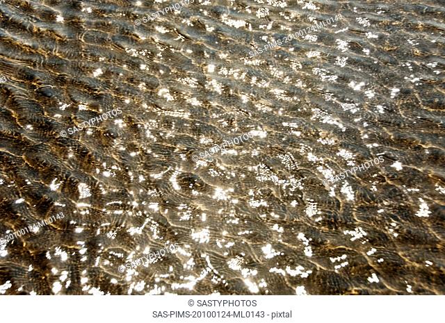Rippled pattern on a water surface, Goa, India