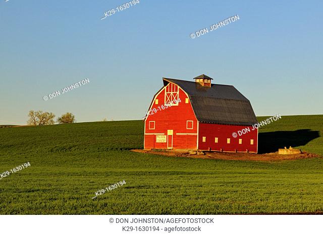 A red barn in the Palouse farmland in spring , Uniontown, Washington, USA