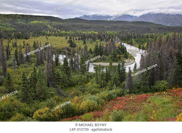 View over scenery with Takahanne River, Yukon Territory, Canada