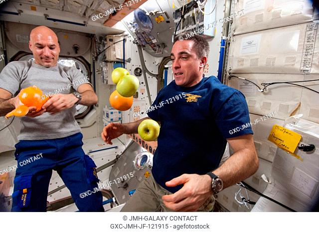European Space Agency astronaut Luca Parmitano (left) and NASA astronaut Chris Cassidy, both Expedition 36 flight engineers