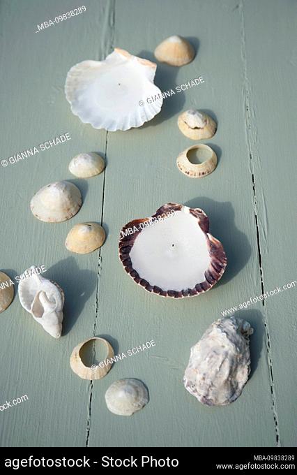 DIY candles in conch shells for summer