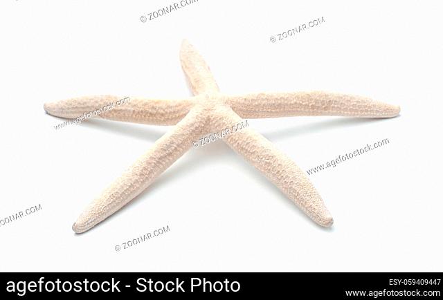 Finger starfish isolated on white