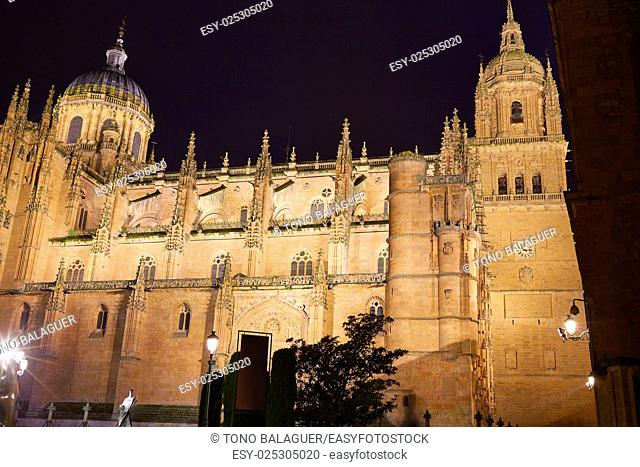 Salamanca Cathedral in Spain by the Via de la Plata way to Santiago