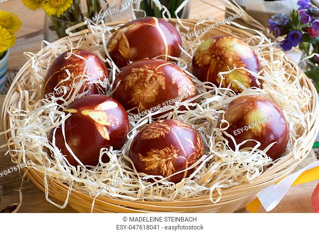 Easter eggs dyed with onion peels, with a pattern of fresh herbs, in a wicker basket