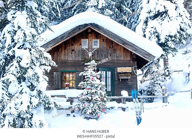 Austria, Altenmarkt-Zauchensee, Christmas tree at wooden house in snow