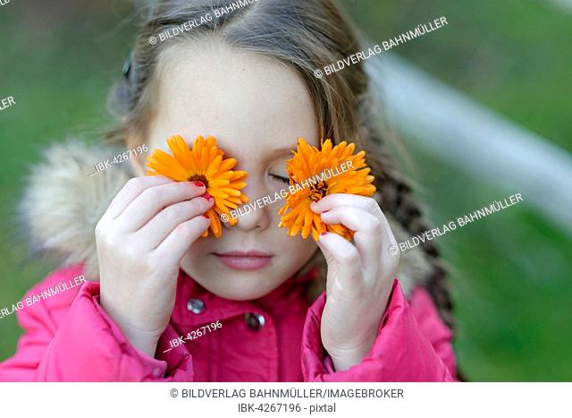 Girl holding mangolds against her eyes, Upper Bavaria, Bavaria, Germany
