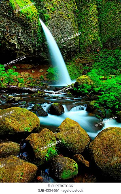 Ponytail Falls in the Columbia River Gorge National Scenic Area, Oregon
