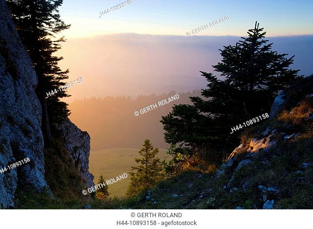 Chasseral, Switzerland, Europe, canton Bern, Berne Jura, vantage point, view point, rock, cliff, evening light, trees, firs