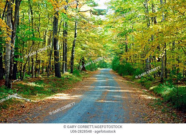 A country road in Prince Edward island, Canada in autumn