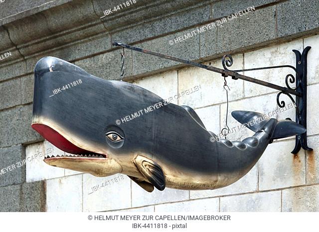 Whale model, signpost at a souvenir shop, Ile de Ré, Vandee, France
