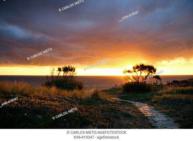 Sunset. Parque Natural del Estrecho. Tarifa. Cadiz province. Spain
