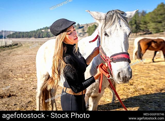 Woman with horse in paddock