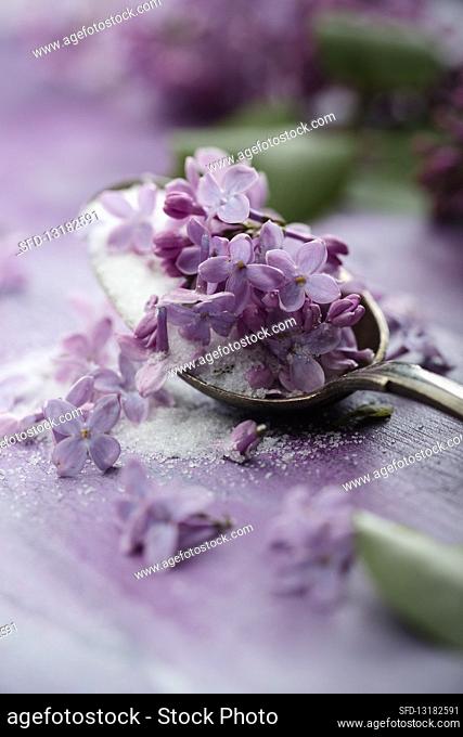 Sugar infused with lilac flowers