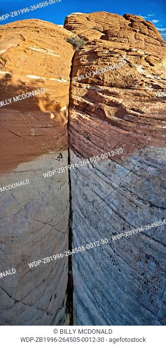 The Aztec Sandstone of the Calico Hills, Red Rock Canyon NCA, Las Vegas, USA