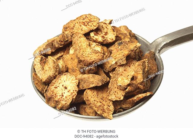 medicinal plant Chinese Atractylodes , Atractylodes lancea , Cang Zhu , dried roots  fŸr treatment of yeast infection and dries dampness and flatulence