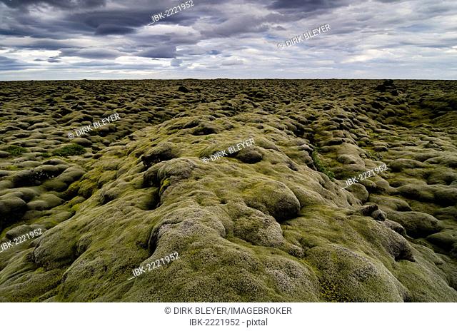 Eldhraun lava field, Suðurland, Sudurland, Southern Iceland, Iceland, Europe