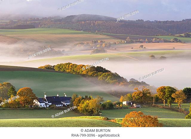Cottages surrounded by idyllic rolling countryside, Dartmoor National Park, Devon, England, United Kingdom, Europe
