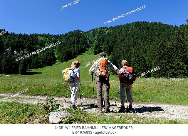 Mountaineers, hikers on a path on the Orterer Alm mountain pasture below Rabenkopf mountain, near Benediktbeuern, Upper Bavaria, Bavaria, Germany, Europe