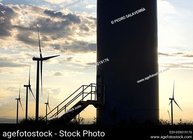 Windmills for electric power production, Zaragoza Province, Aragon in Spain