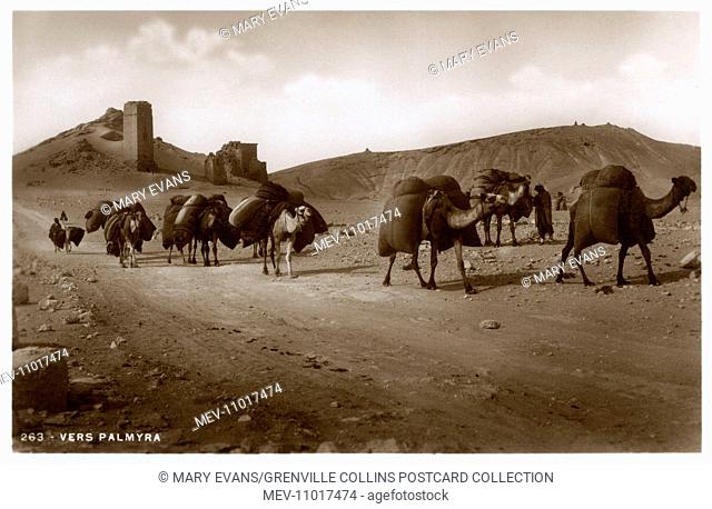 Camel Caravan close to Palmyra, Homs Governate, Syria. Dating back to the Neolithic, Palmyra was first attested in the early second millennium BC as a caravan...